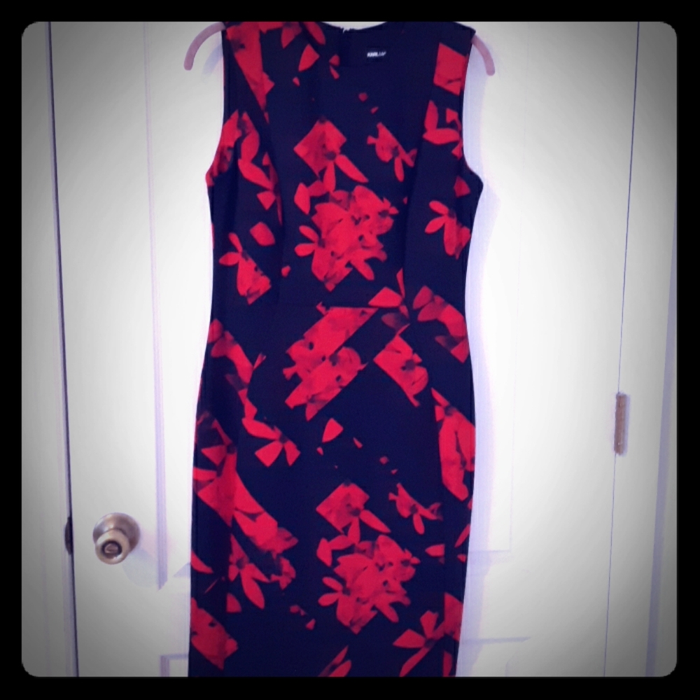 Ladies dress
